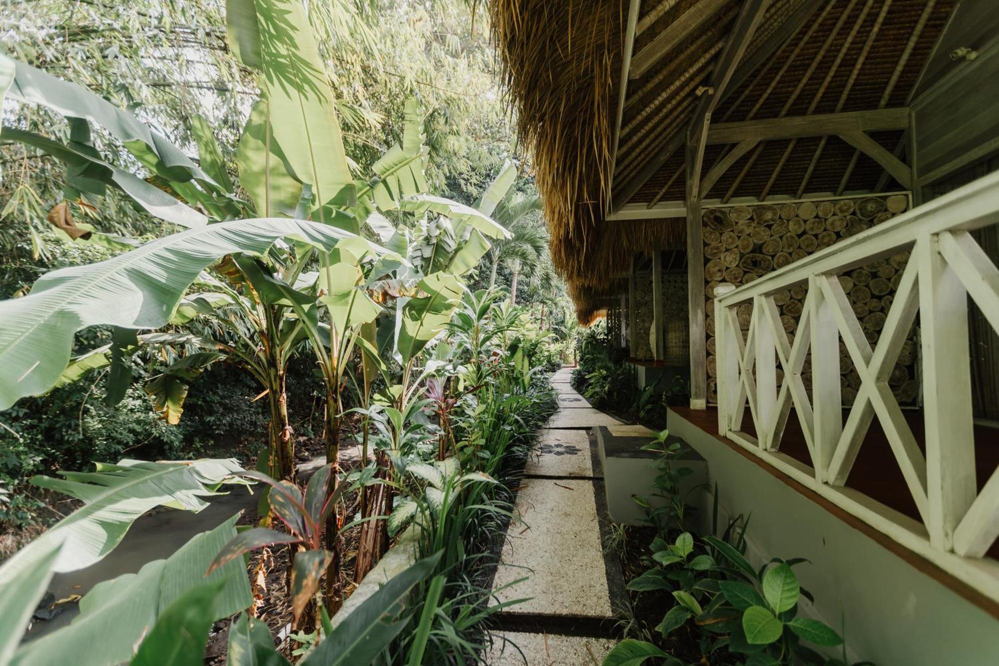 Maylie Bali Bungalows Canggu  Bagian luar foto